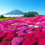 ニセコ観光のおすすめTOP25!