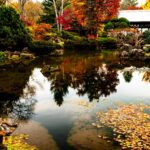 帯広の観光人気スポットTOP30!