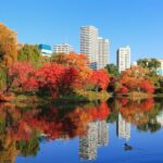 すすきの駅周辺の公園TOP11