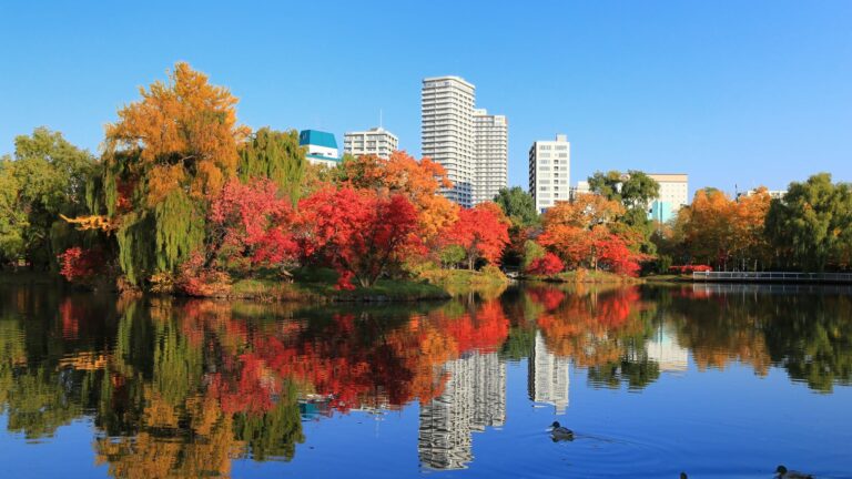 すすきの駅周辺の公園TOP11