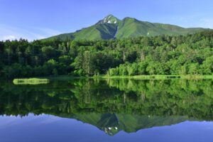 利尻観光おすすめスポット16選