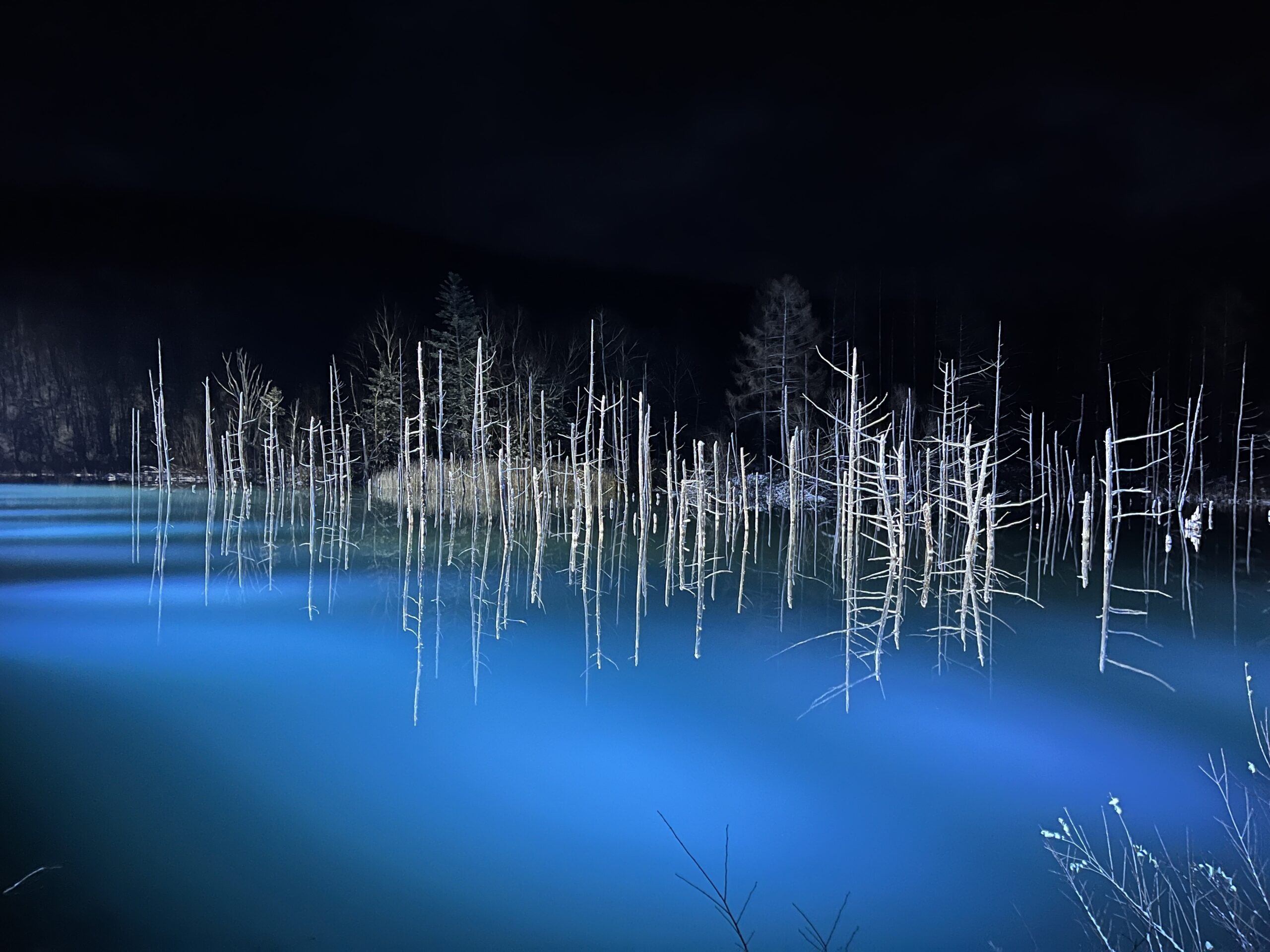 富良野の観光人気スポット30選　1位:青い池