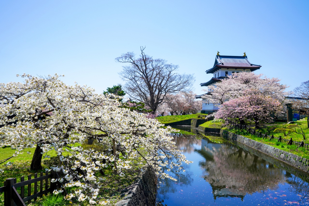 北海道の観光の春の人気スポット25選　14位:松前公園