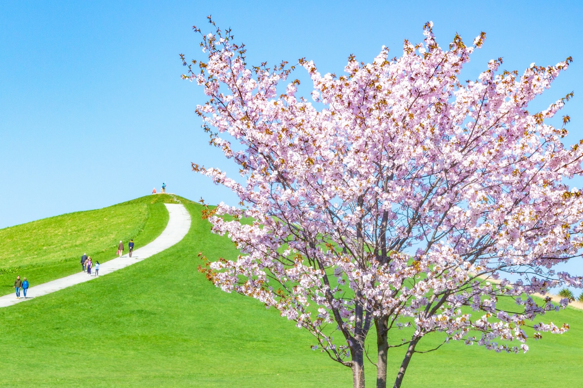札幌の旅行の春の人気スポット20選　11位:モエレ沼公園
