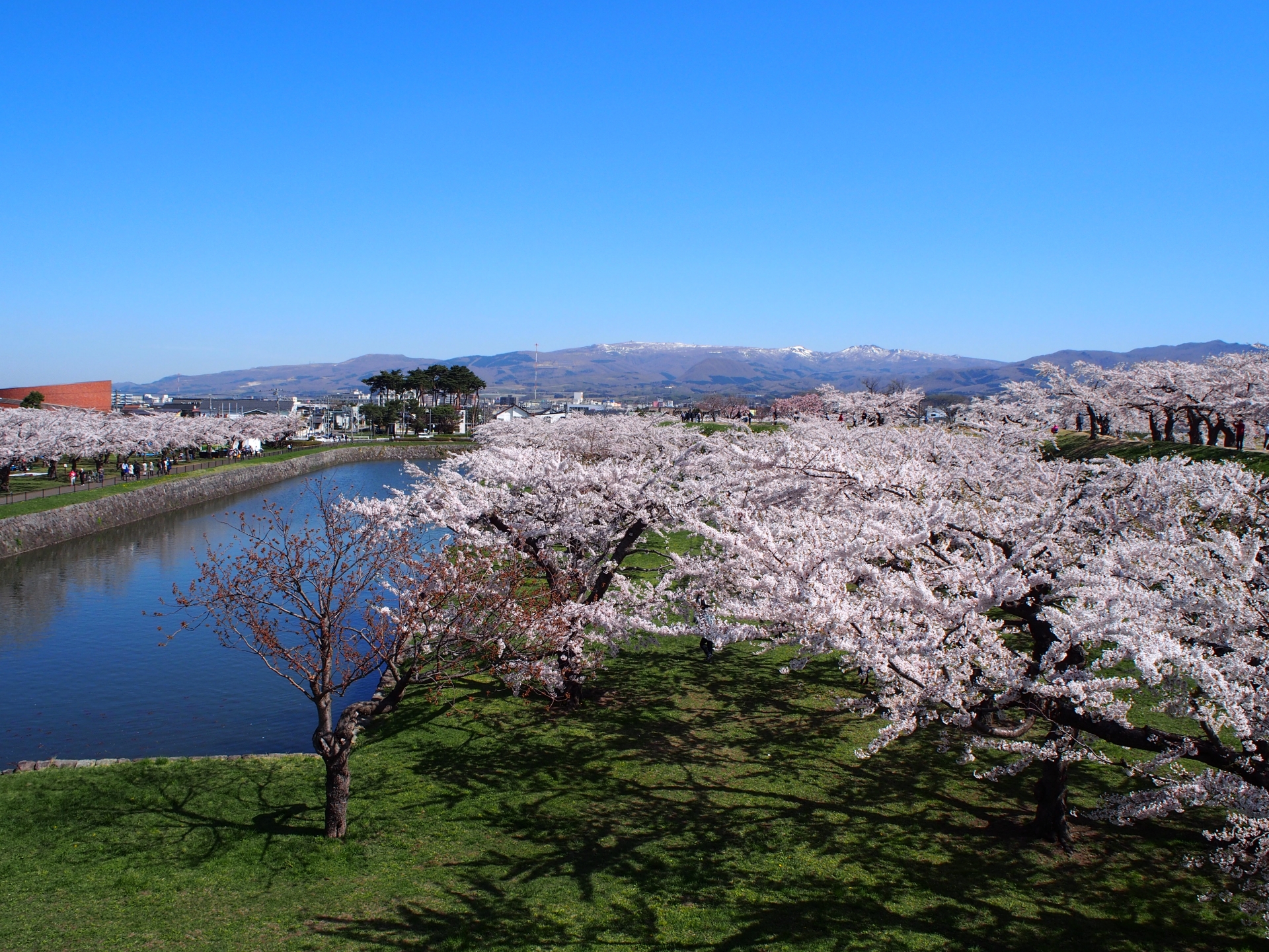 北海道の観光の春の人気スポット25選　12位:五稜郭公園