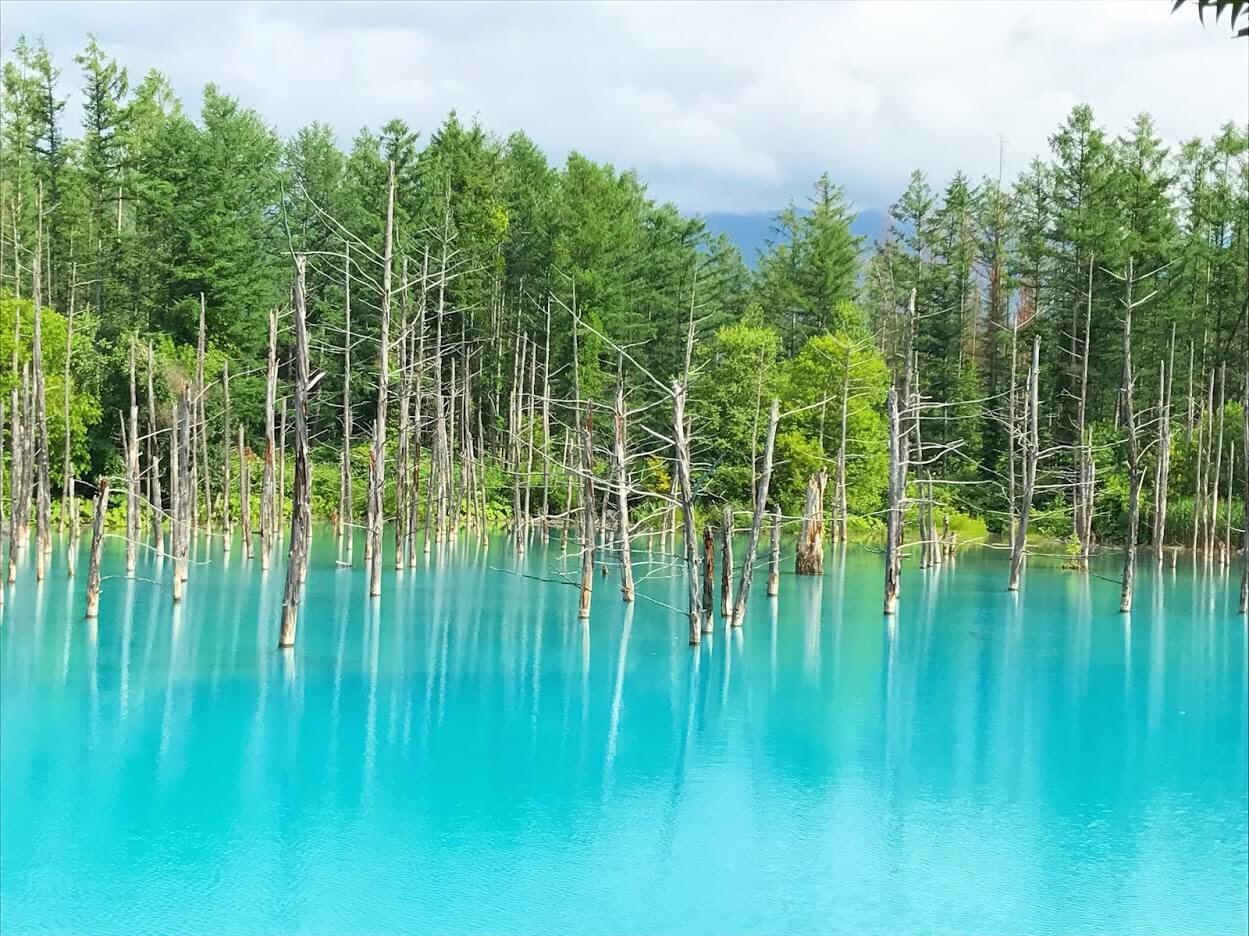 北海道の卒業旅行おすすめスポット10選　8位:青い池