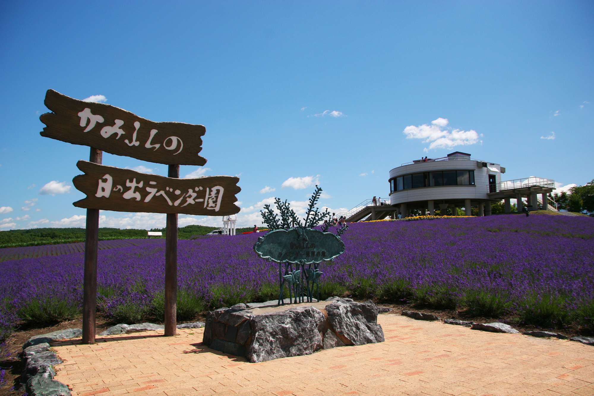 北海道でラベンダーが綺麗な場所15選　5位:日の出公園ラベンダー園