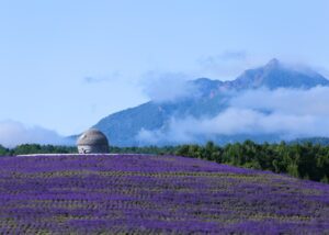 北海道でラベンダーが綺麗なおすすめスポット15選！