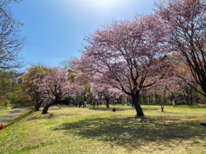 帯広・十勝観光のおすすめスポットTOP25