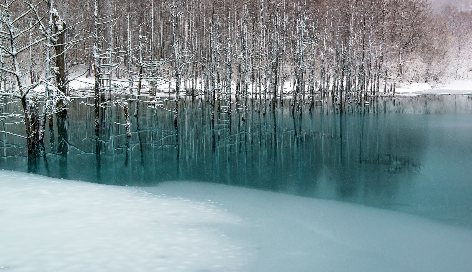 冬の北海道観光のおすすめスポット20選　8位:青い池
