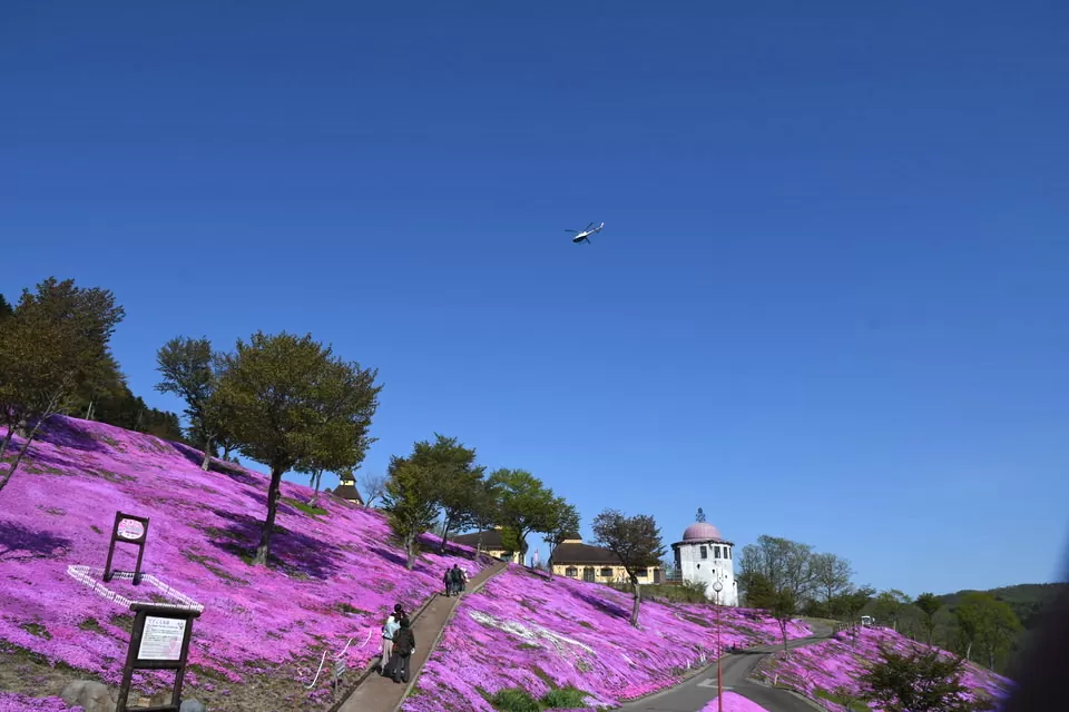 北海道の観光の春の人気スポット25選　3位:芝ざくら滝上公園