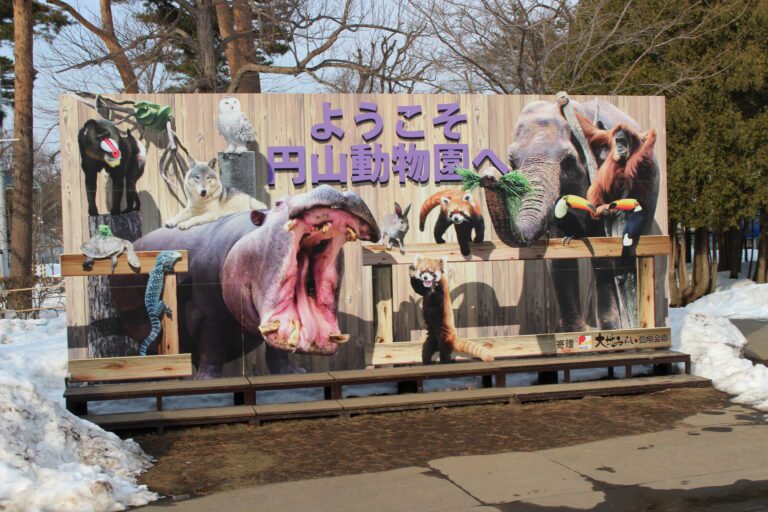 札幌の動物園！