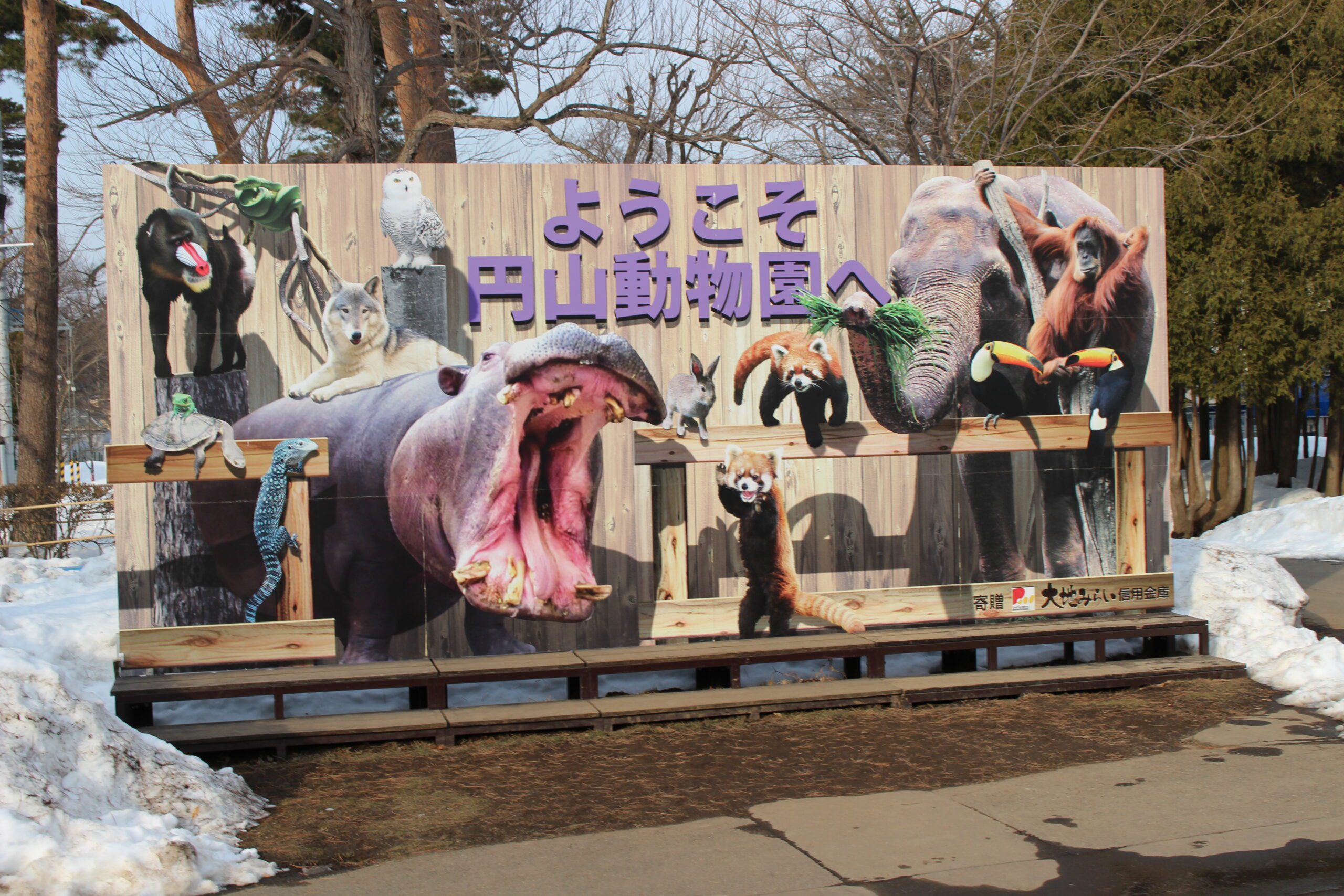 札幌の人気動物園、2つを紹介！どちらも魅力的で悩む！