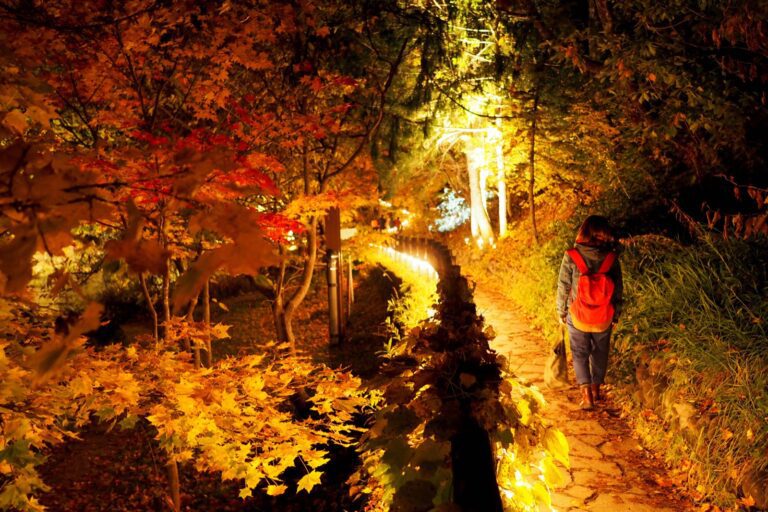 北海道観光でカップルに人気のスポットTOP30！