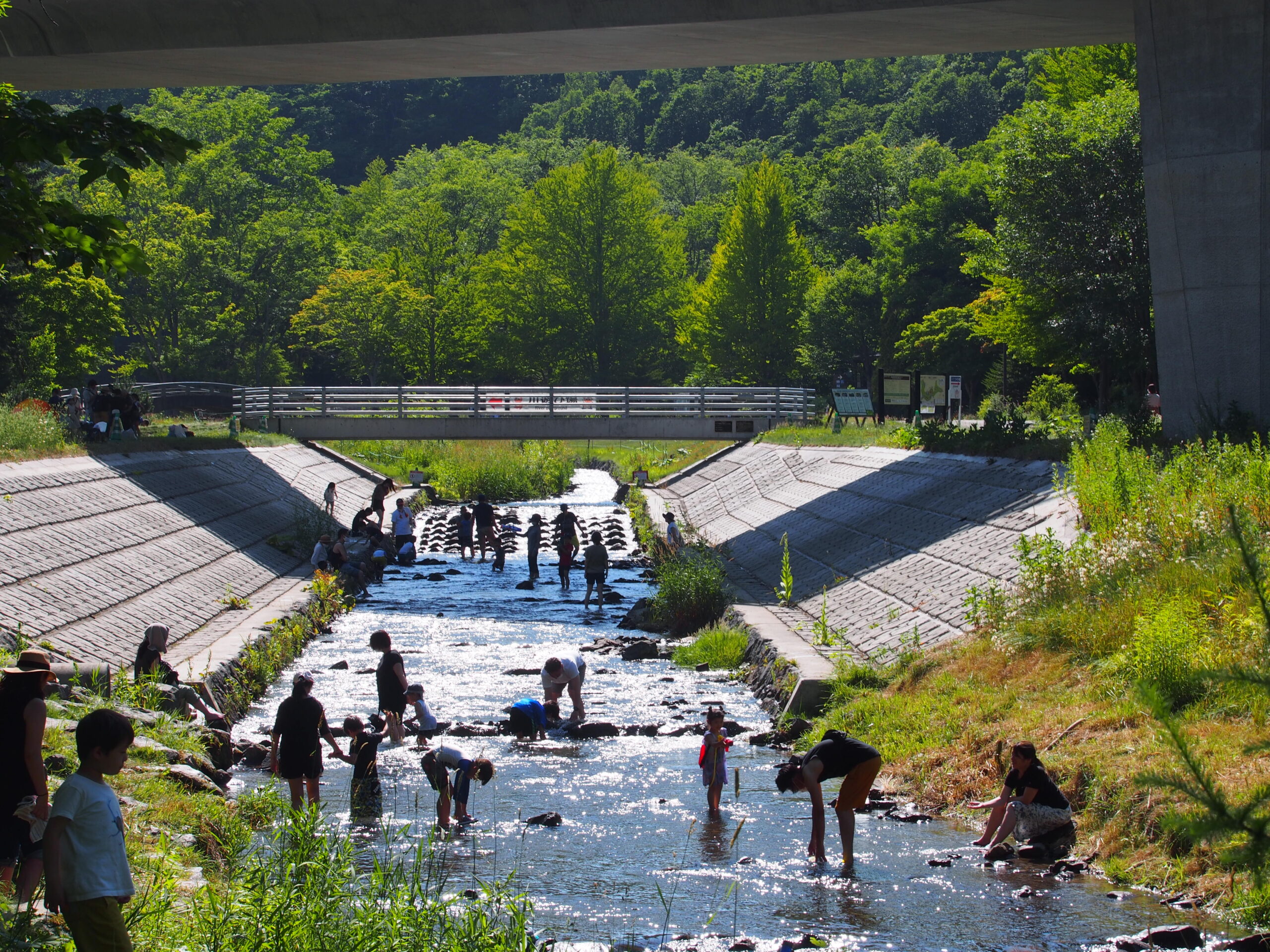 札幌の旅行の夏の人気スポット30選　14位:滝野すずらん丘陵公園