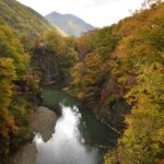 北海道観光で秋におすすめスポットTOP20!