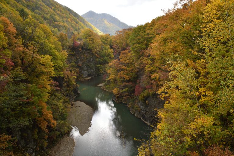 北海道観光で秋におすすめスポットTOP20！