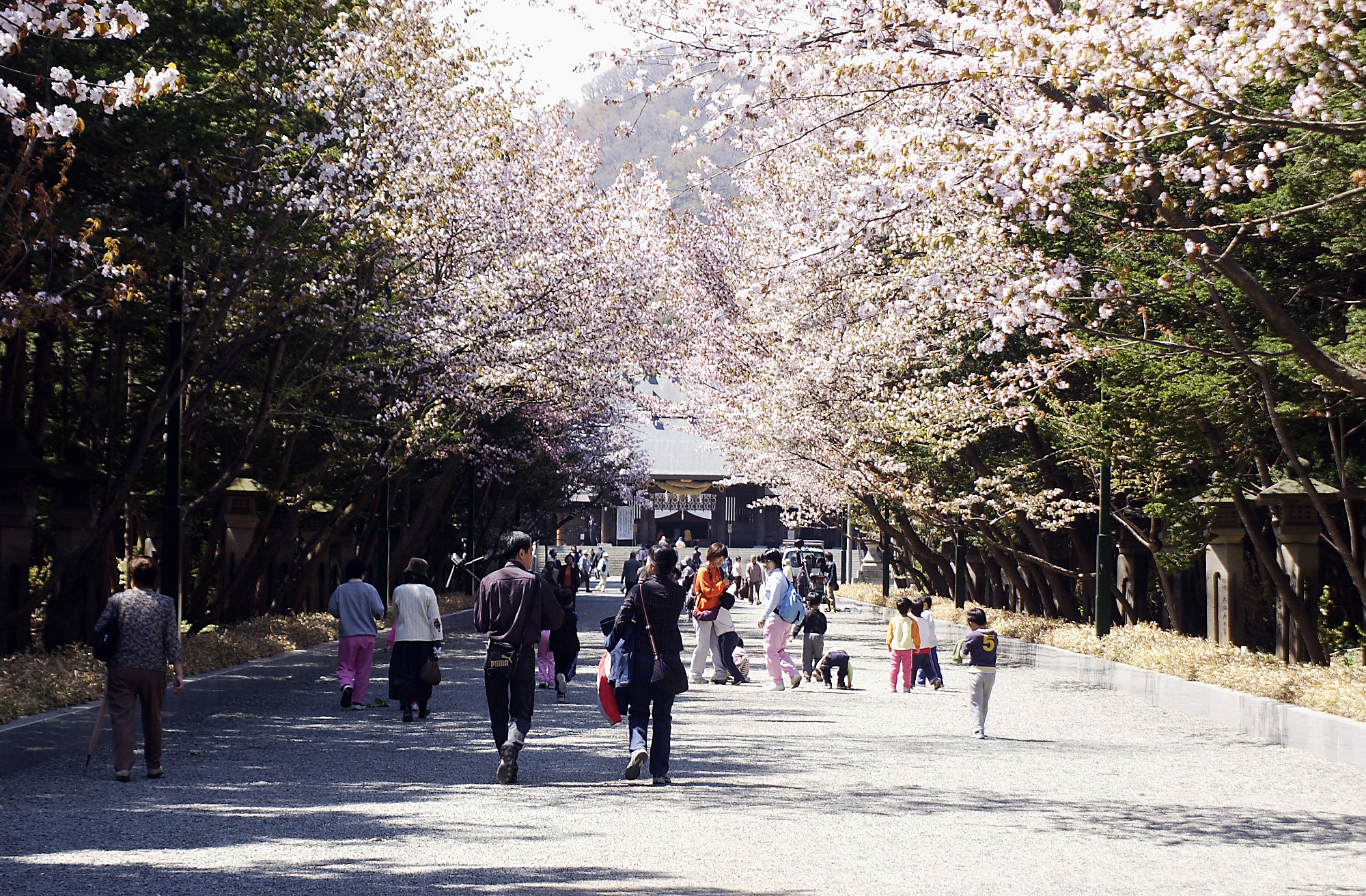 札幌の旅行の春の人気スポット20選　8位:北海道神宮