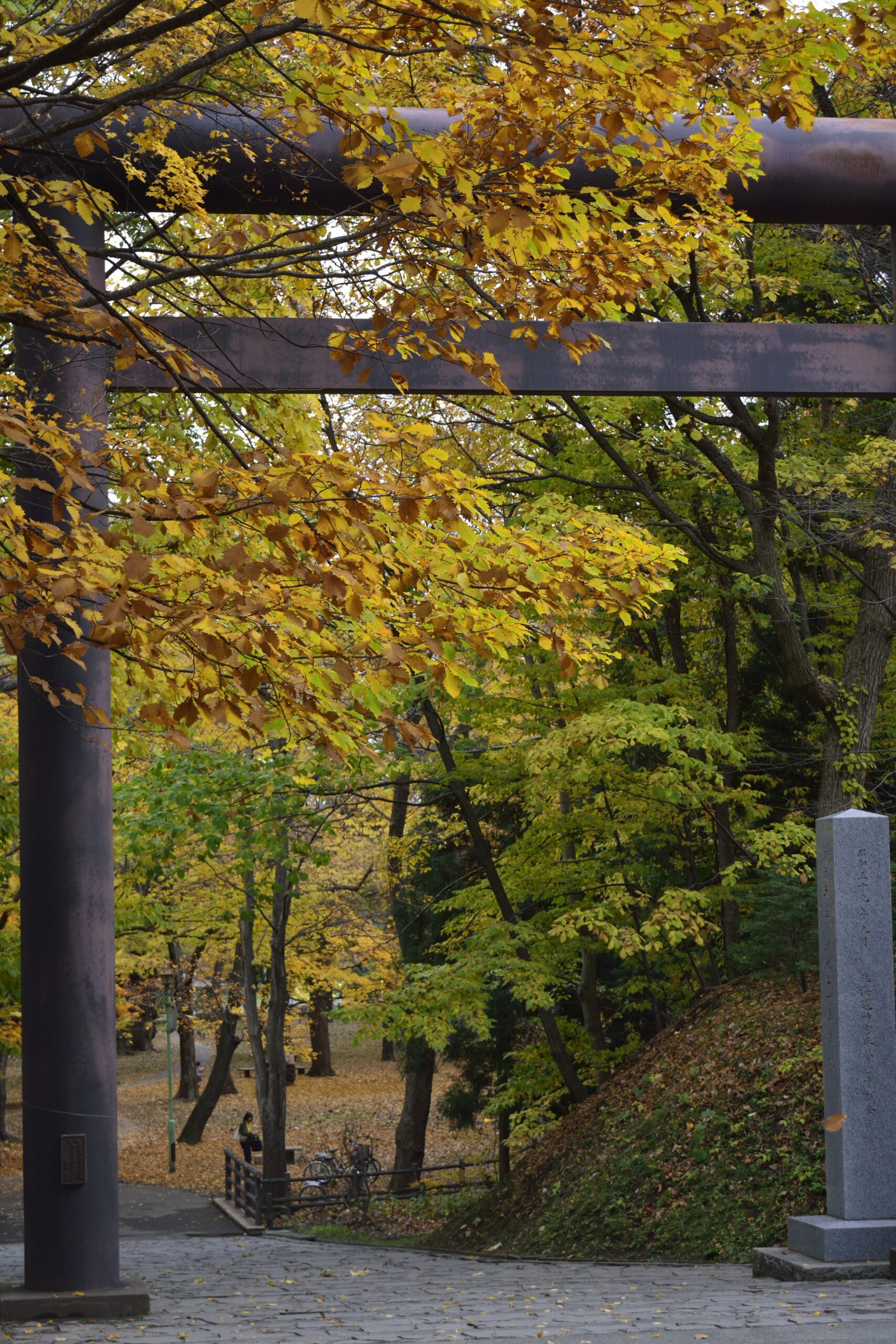 秋の札幌の旅行人気スポット25選　4位:北海道神宮