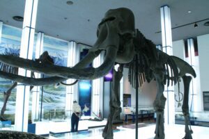 北海道観光の穴場スポットTOP30！