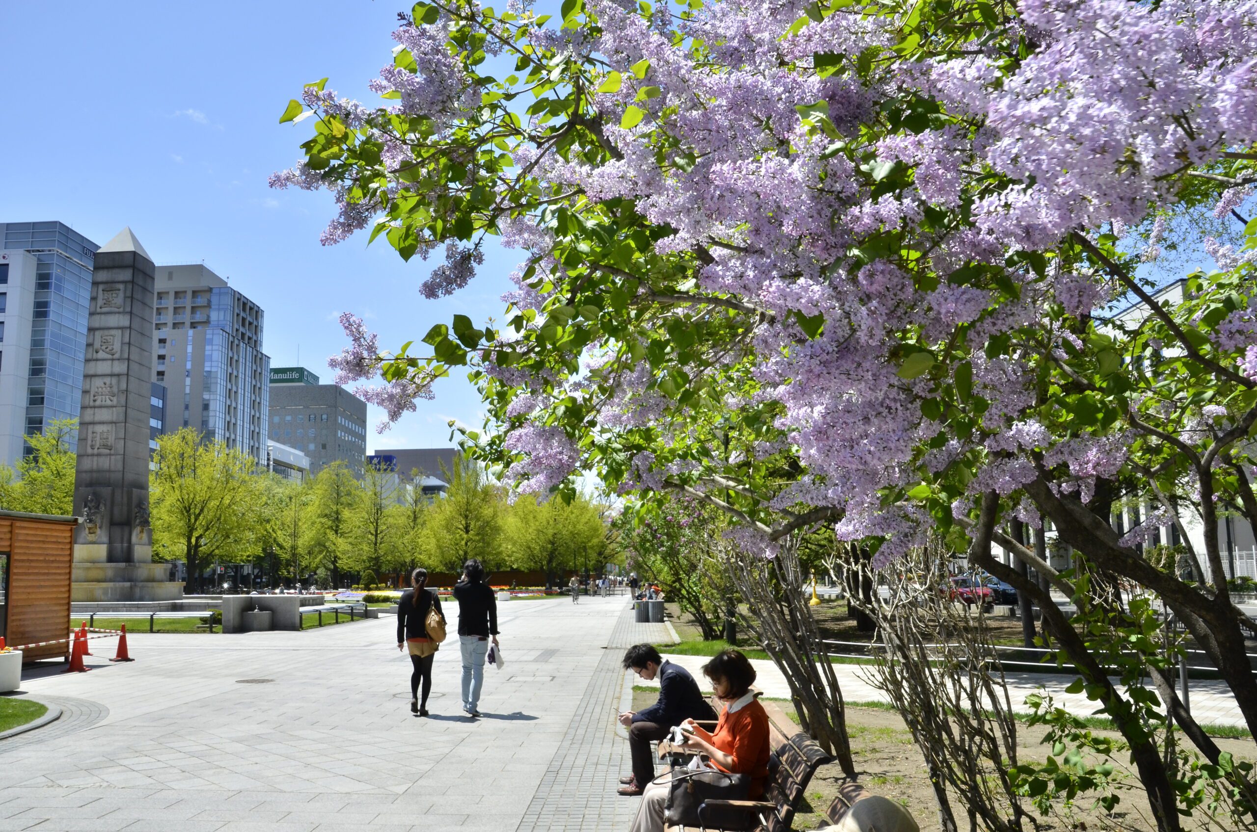 札幌の旅行の春の人気スポット20選　7位:大通公園