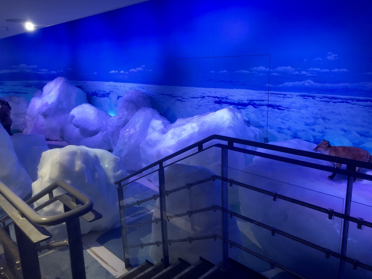 北海道のファミリーの人気観光スポット30選　22位:オホーツク流氷館
