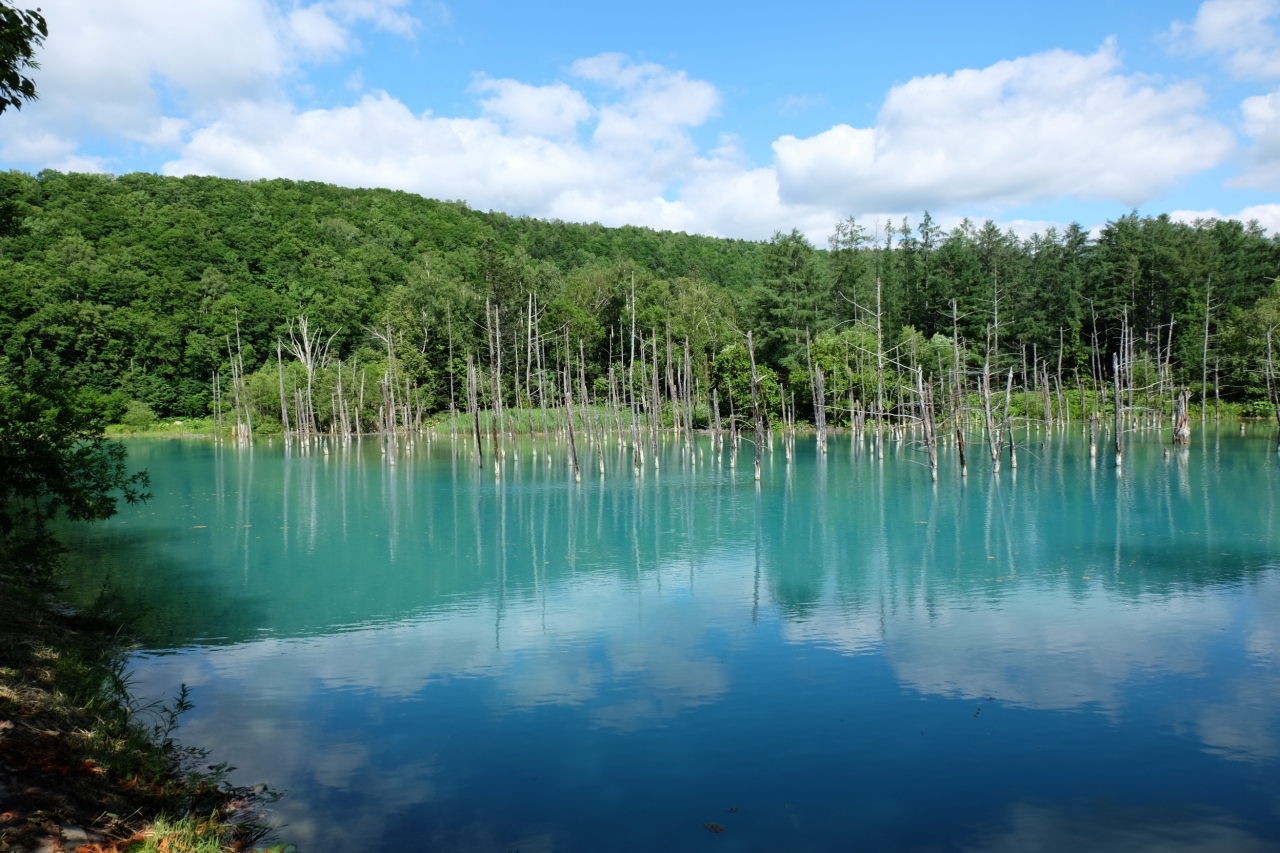 北海道の青い池3選　3位:季節や環境によって異なる景色に！