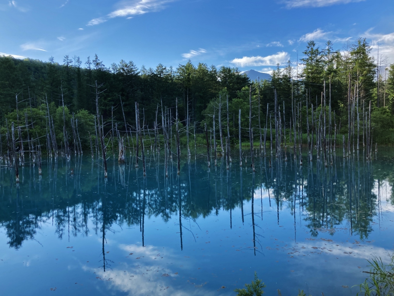 北海道の青い池3選　3位:季節や環境によって異なる景色に！