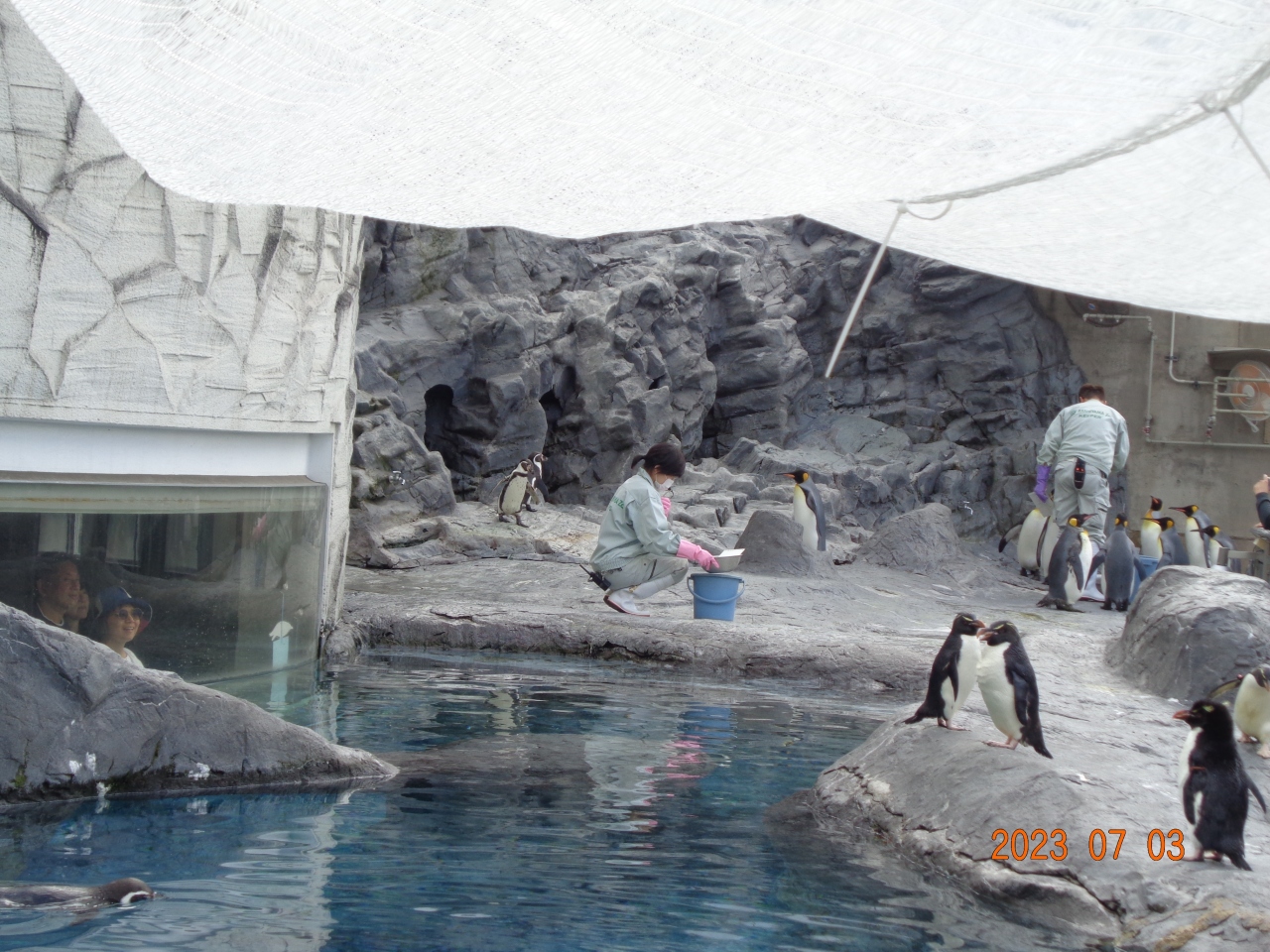 北海道観光の日帰りおすすめスポット25選　12位:旭山動物園