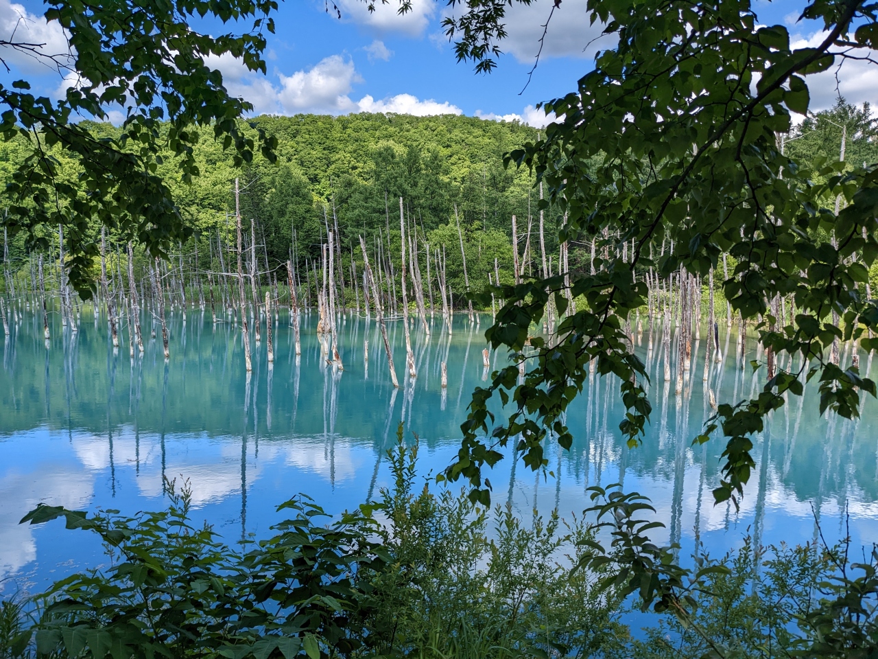 北海道の青い池3選　2位:青い池はなぜ青いのか