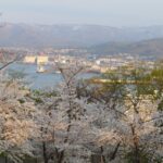 北海道観光の春の人気スポットTOP25!