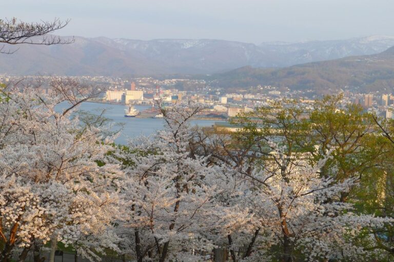 北海道観光の春の人気スポットTOP25！