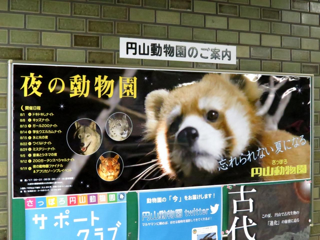 札幌の旅行の夏の人気スポット30選　8位:円山動物園