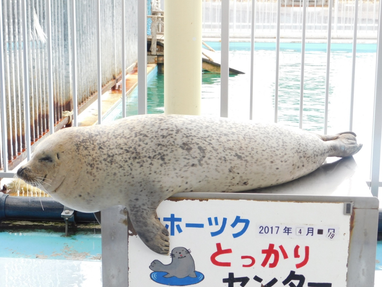 北海道の水族館のおすすめ12選　11位:オホーツクとっかりセンター