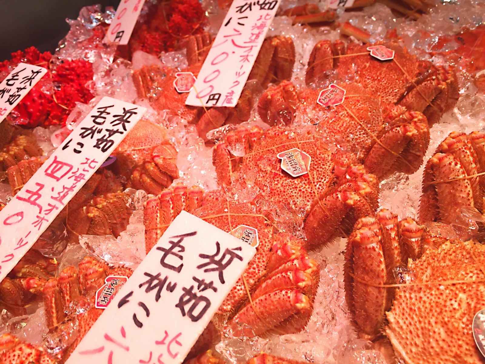 札幌のお土産で海鮮のおすすめ大公開！プロ厳選TOP20！【2023年】
