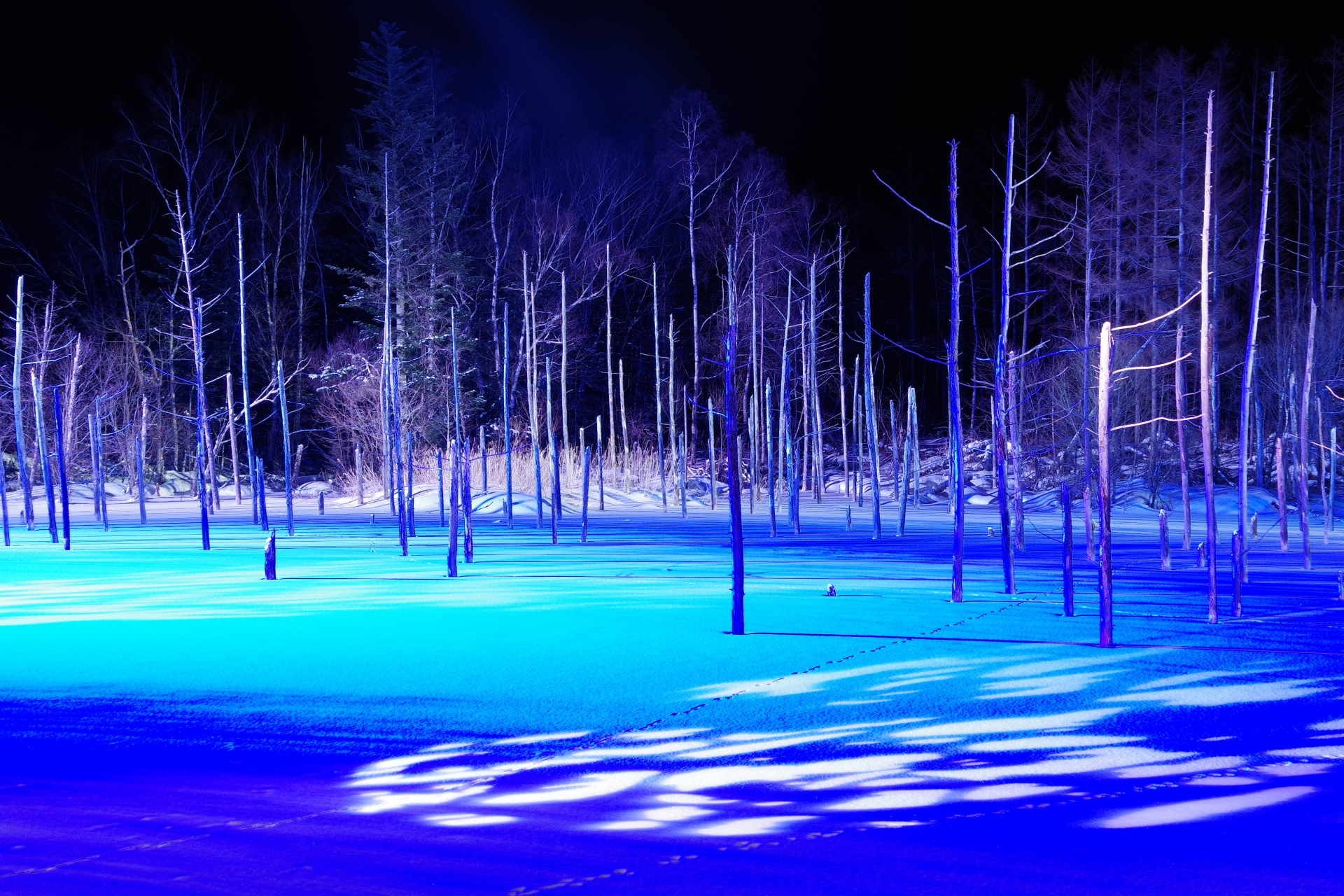北海道観光で絶景スポット30選　1位:青い池