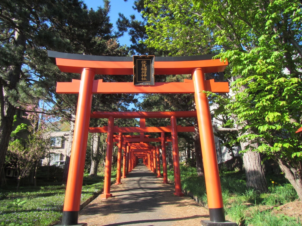 札幌のインスタ映えスポットのおすすめ20選　18位:札幌伏見稲荷神社