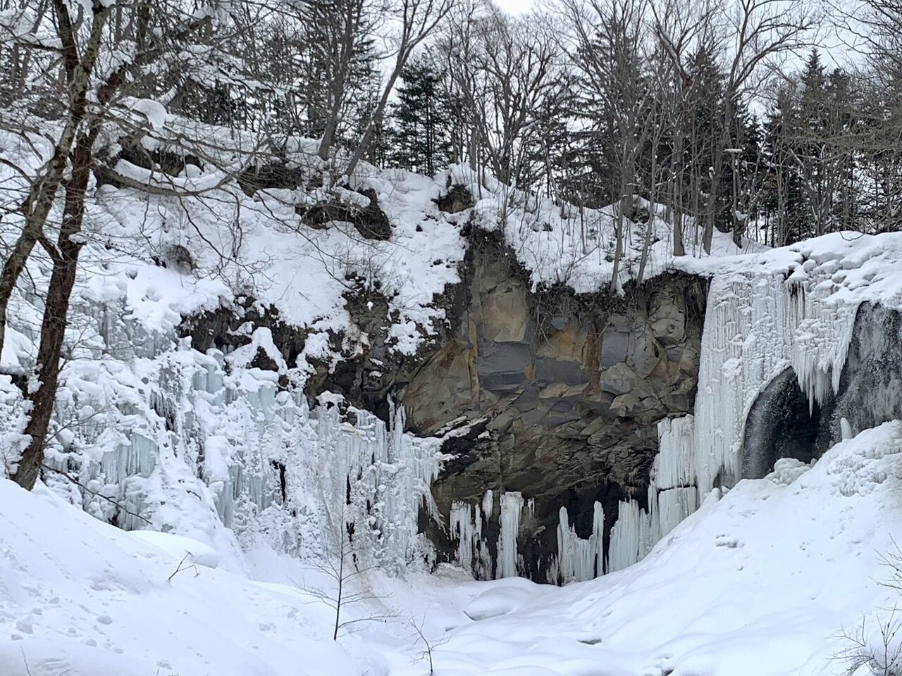 札幌冬の旅行の人気スポット25選　1位:国営滝野すずらん丘陵公園