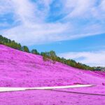 北海道の公園おすすめTOP25!