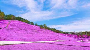 北海道の公園おすすめTOP25！