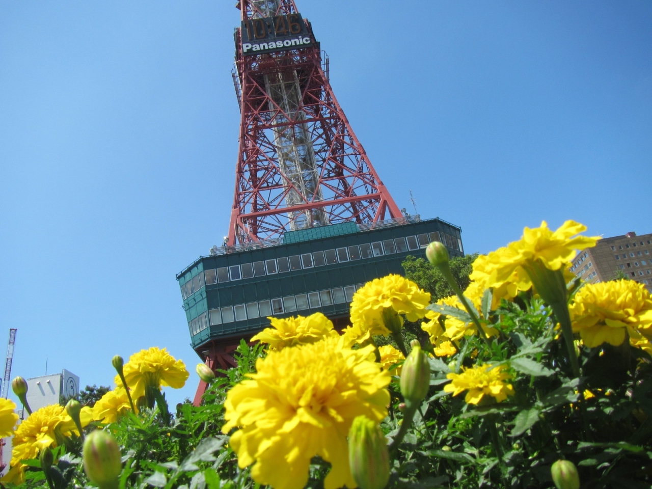 北海道の一人旅のおすすめの観光スポット30選　14位:さっぽろテレビ塔