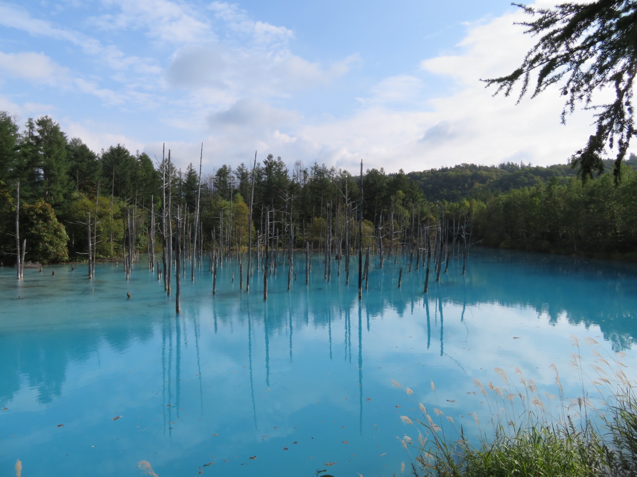 北海道のインスタ映えのおすすめスポット30選　8位:白金青い池