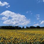 北海道のインスタ映えのスポットTOP30!
