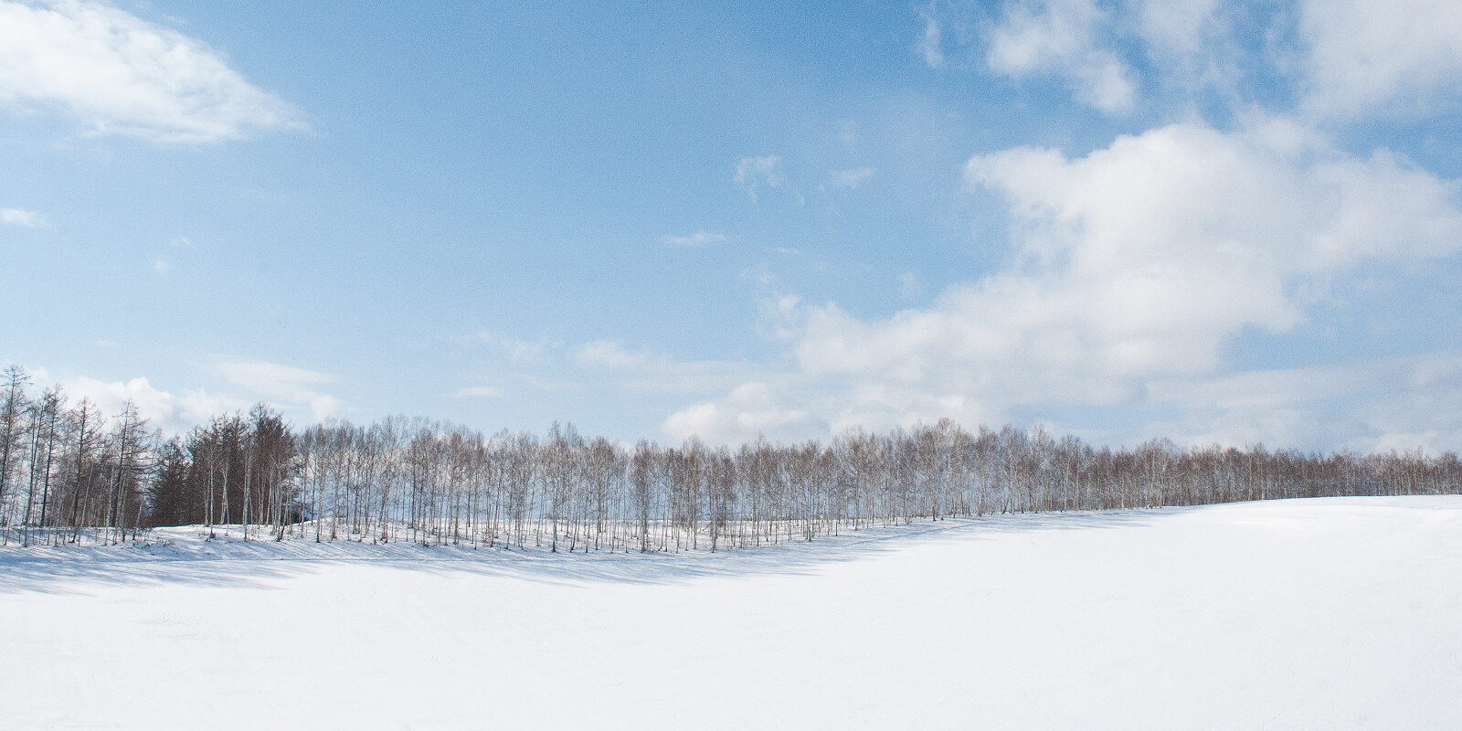 北海道のインスタ映えのおすすめスポット30選　11位:四季彩の丘