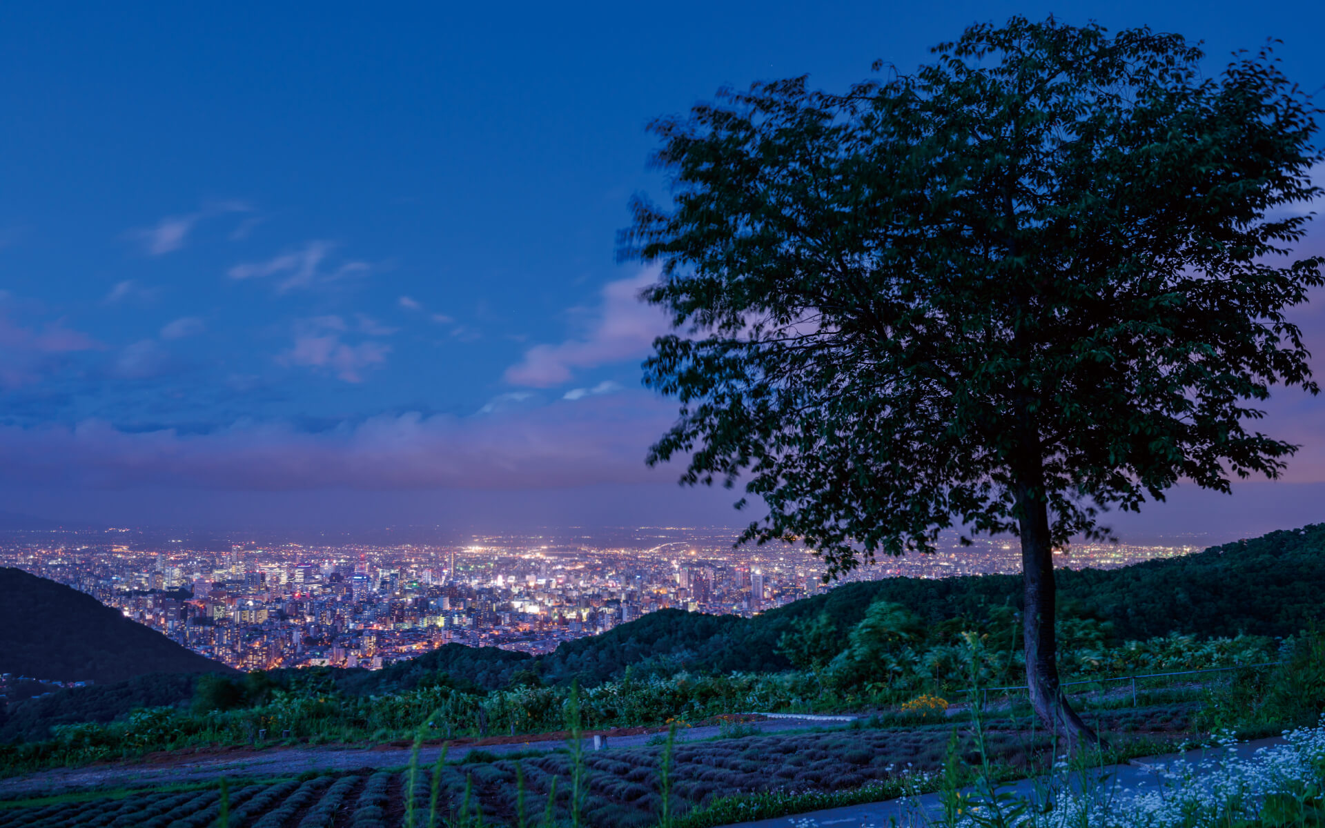 北海道の夜景のおすすめスポット20選　1位:幌見峠展望駐車場