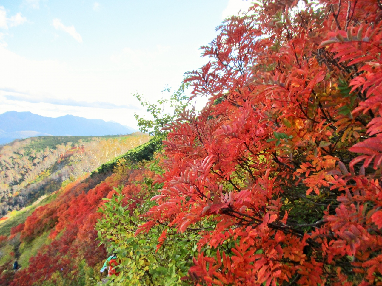 北海道の紅葉のおすすめスポット9位:赤岳 銀泉台
