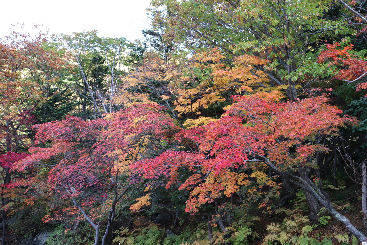 北海道の紅葉のおすすめスポット15位:層雲峡 紅葉谷