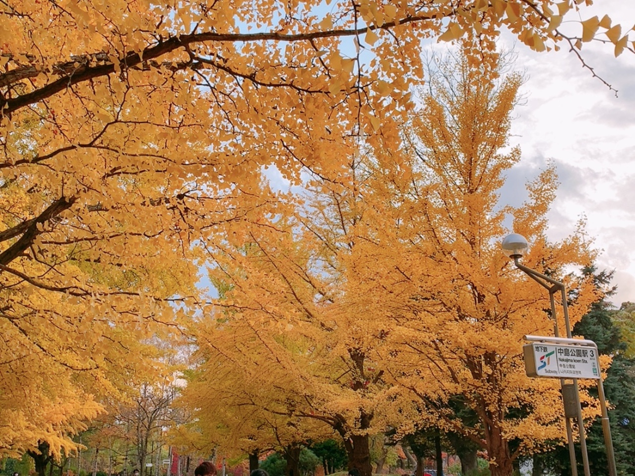 北海道の紅葉のおすすめスポット18位:中島公園