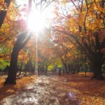 北海道の紅葉のおすすめスポットTOP20!