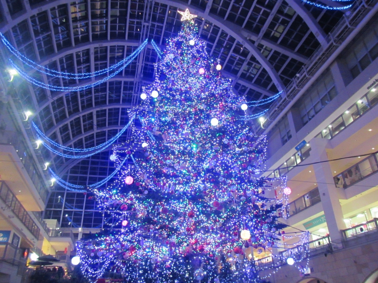 札幌の夜景のおすすめスポット19選　13位:サッポロファクトリー ジャンボクリスマスツリー